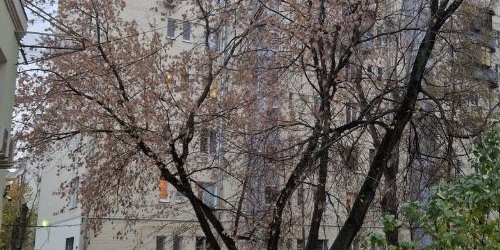 2-комн квартира Басманный тупик, 10/12