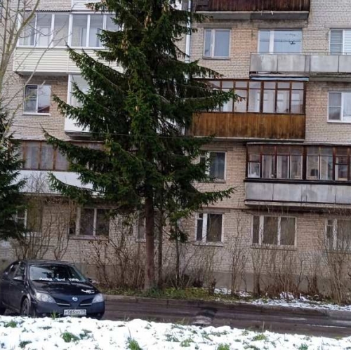 1-комн квартира Петергоф г., Петергоф г.,  д. 5,  к. 2