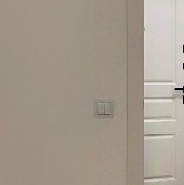 Аренда 1-комн квартиры на вторичном рынке Мурино, улица Шоссе в Лаврики, 93