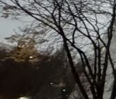 Сдать в аренду Квартиры вторичка Шипиловский проезд, 41К4   