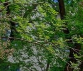 Продать Квартиры вторичка Смоленская площадь, 13/21   