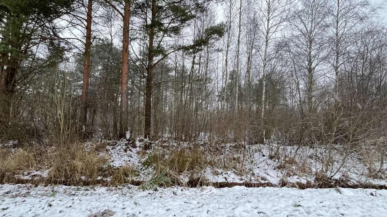 Продажа земли Зеленый квартал кп, Шлиссельбург