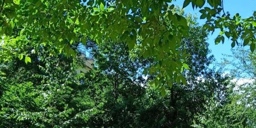 Комната Диагональная улица, 4К1