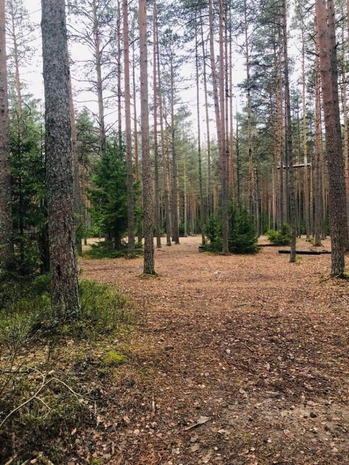Продажа земли Тулокас тер., пос. Ленинское