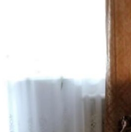 Аренда 1-комн квартиры на вторичном рынке Колпино, Тверская улица, 66