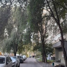 Аренда 3-комн квартиры на вторичном рынке Батюнинская улица,  д. 14