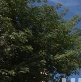 Продажа 6-комн квартиры на вторичном рынке Филипповский переулок, 8С1