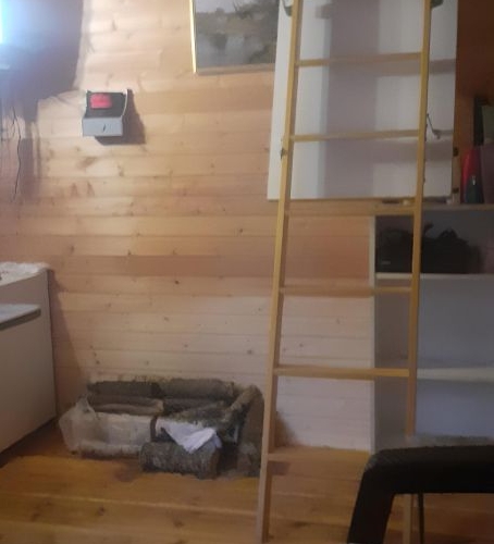 Коттедж/дом Вырица городской поселок, проспект Мельничный, 4