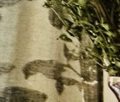 Продать Квартиры вторичка Хорошевское шоссе, 43кБ   