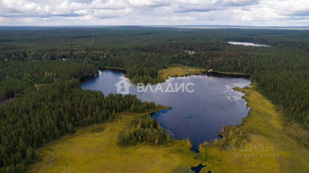 Продажа земли Рощино пгт, проезд Мельничный