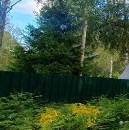 Продажа дома Вырица городской поселок Продажа дома Вырица городской поселок