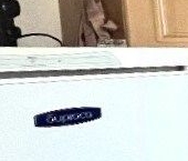 Продать Квартиры вторичка Рощино пгт, улица Шалавина, 49   