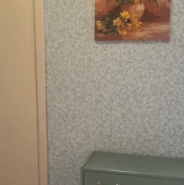 Аренда 1-комн квартиры на вторичном рынке Первомайская ул,  д. 20