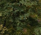 Продать Квартиры вторичка улица Карбышева, 4К1   