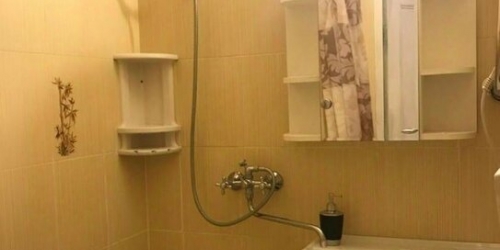 1-комн квартира Посланников пер,  д. 11/14