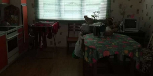 5-комн квартира Луганская улица, 7к1