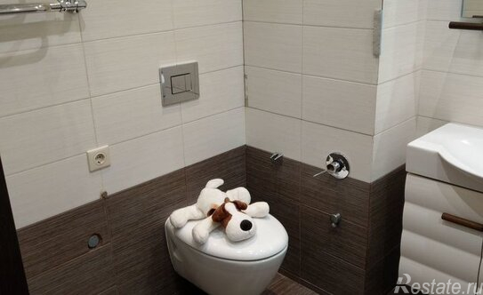 Аренда 1-комн квартиры на вторичном рынке Яна Райниса б-р,  д. 37