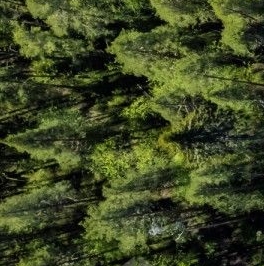 Продажа дома Зеленогорск, улица Строителей Продажа дома Зеленогорск, улица Строителей