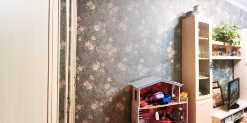 3-комн квартира Большая Посадская улица, 9/5