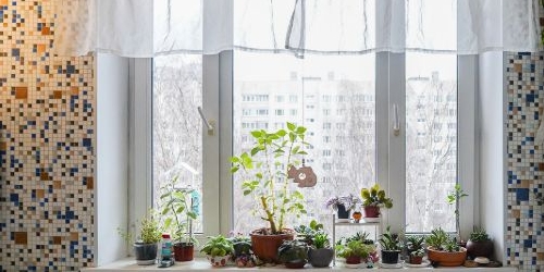 1-комн квартира Долгоозерная улица, 11