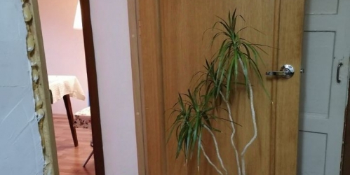 2-комн квартира Павловск, Лебединая улица, 16