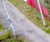 Продать Земельные участки, земля Шунгорово-1 СНТ, 2-я линия, 31   