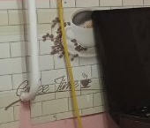 Продать Квартиры вторичка пос. Учхоза Александрово, 19   