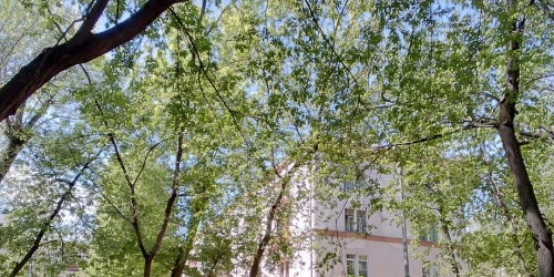 Помещение свободного назначения Парковая 5-я ул,  д. 42