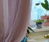 Сдать в аренду Квартиры вторичка Ивантеевка, улица Бережок, 8   