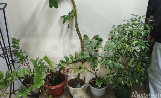 Продажа 1-комн квартиры на вторичном рынке Раменское, ул Крымская,  д. 7