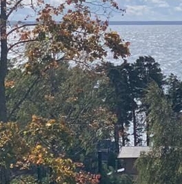 Продажа земли Золотые Пески кп, пос. Пески, д. 142 Продажа земли Золотые Пески кп, пос. Пески, д. 142