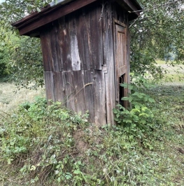 Продажа дома Речицы, ул Центральная,  д. 60