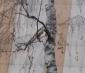 Продать Квартиры вторичка Ташкентская улица, 10к1   