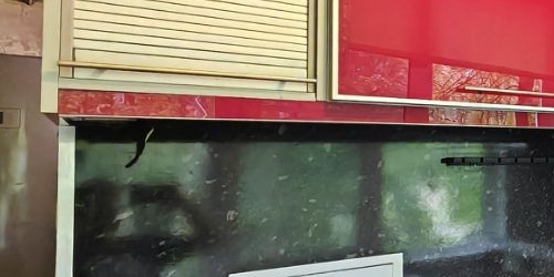 2-комн квартира Суздальский проспект, 91