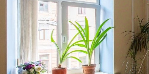 4-комн квартира Невский проспект, 74-76