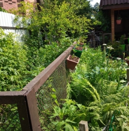 Продажа дома Ильинский, ул Карла Маркса,  д. 41