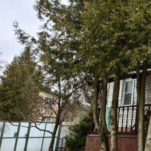 Коттедж/дом Юбилейное СНТ, улица 37-я