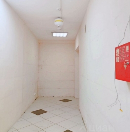 Аренда ПСН улица Рубинштейна