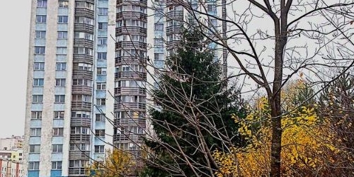 3-комн квартира пос. Шушары, Пушкинская улица, 10к2