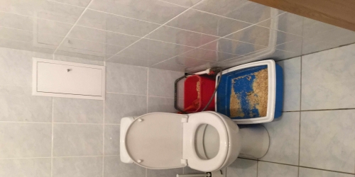 3-комн квартира Шушары п, Полоцкая (Славянка) ул,  д. 3