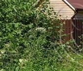 Продать Земельные участки, земля Маяк СНТ   