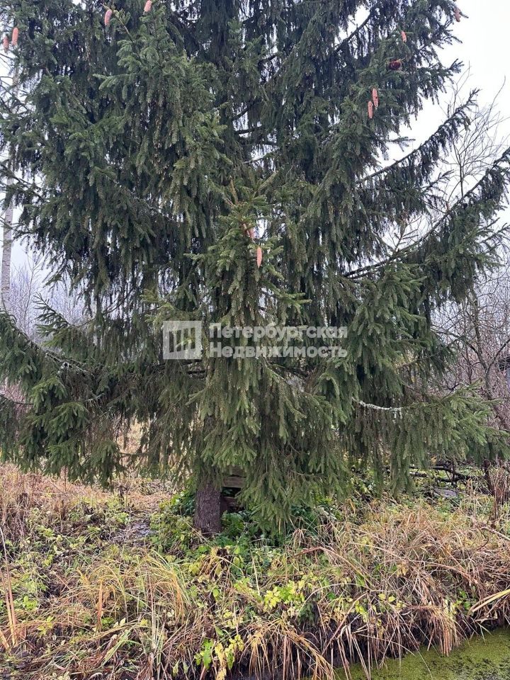 Продажа дома д. Низовская, улица Володарского, 75