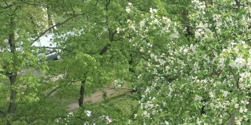 3-комн квартира Бойцовая улица, 22К4