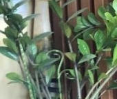 Сдать в аренду Квартиры вторичка Полянка мкр, пос. Лесные Поляны  198 