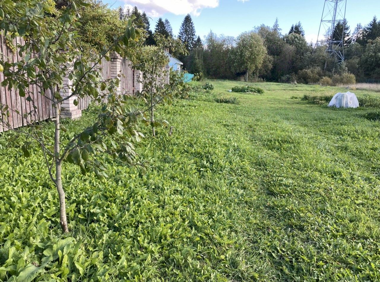Продажа дома д. Ивановка (Пудостьское территориальное управление), улица Лесная, 17
