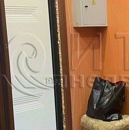 Аренда 1-комн квартиры на вторичном рынке Пушкин, Московское шоссе, 34