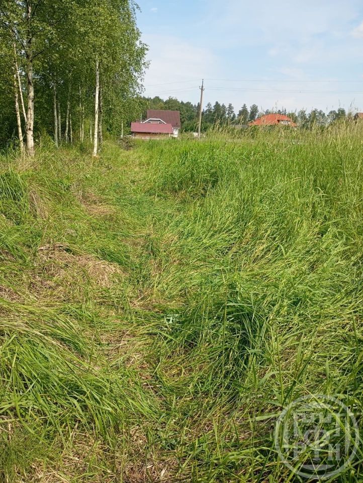 Продажа земли Оранжерейка кп, улица Березовая