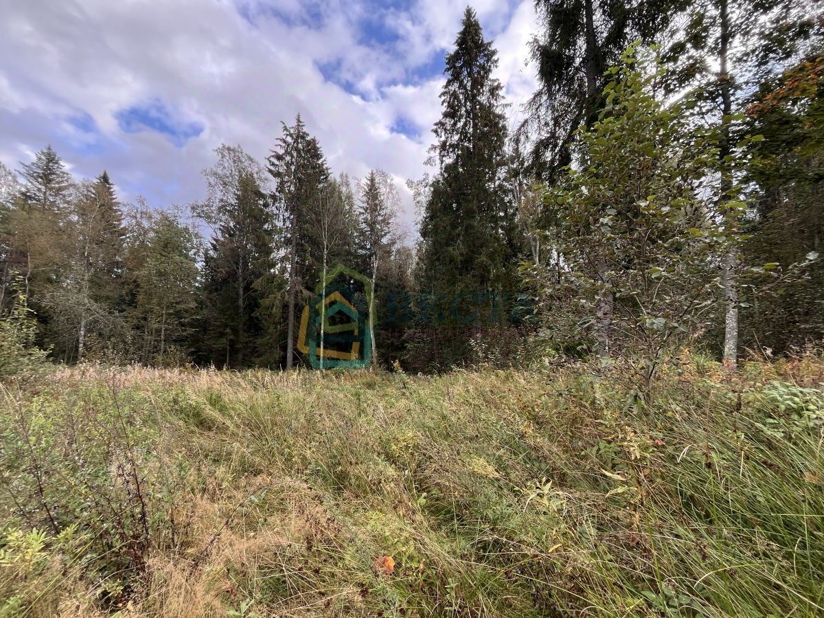 Продажа земли д. Лемболово, улица Магазинная