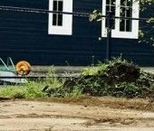 Продать Земельные участки, земля Лаврики СНТ, 3-я линия   