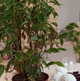 Продажа комнаты улица Подвойского, 50к1